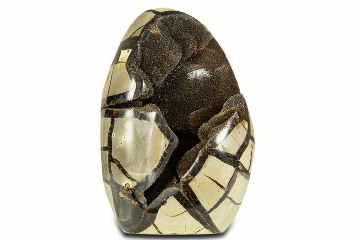 Free-Standing, Polished Septarian Geode - Black Crystals #344447